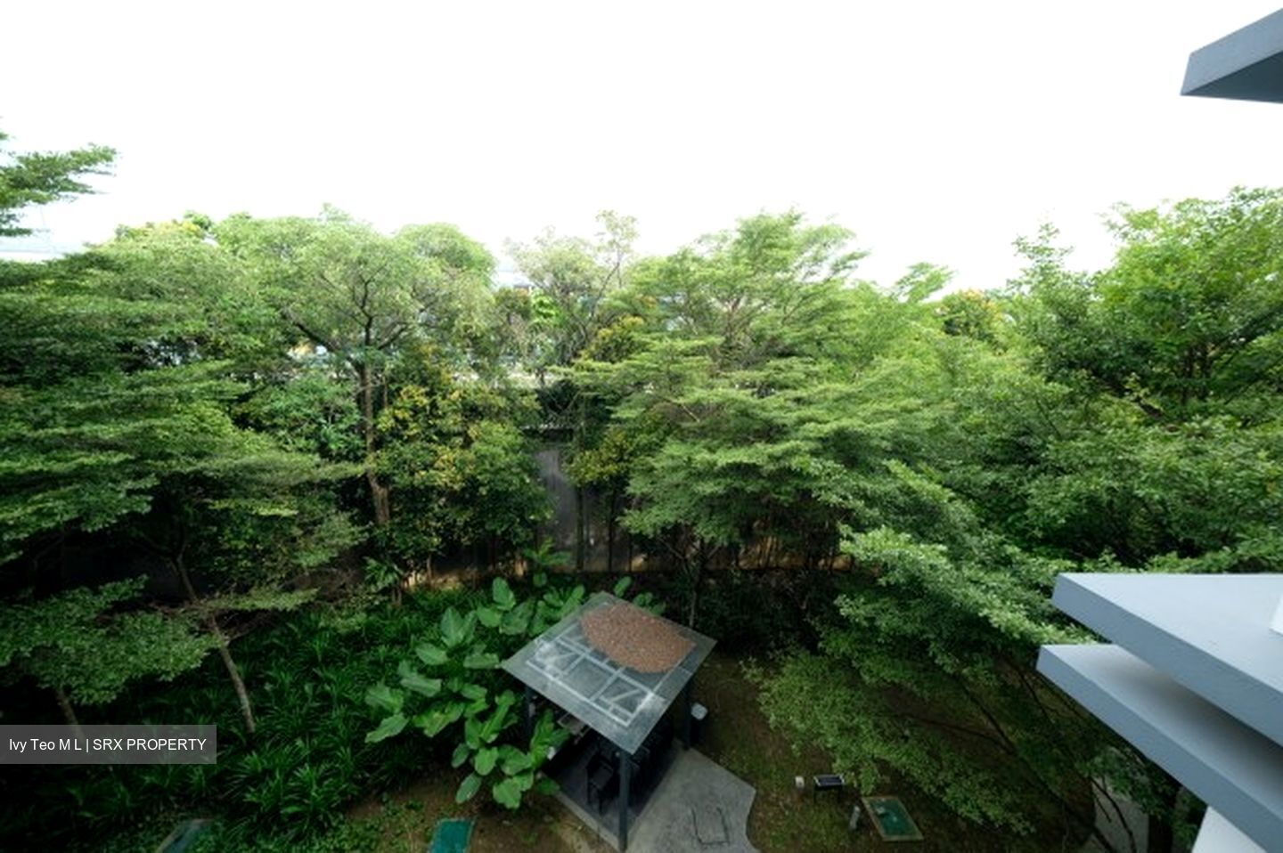 Hedges Park Condominium (D17), Condominium #610071611